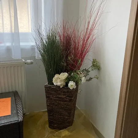 컨트리하우스 Vodica *