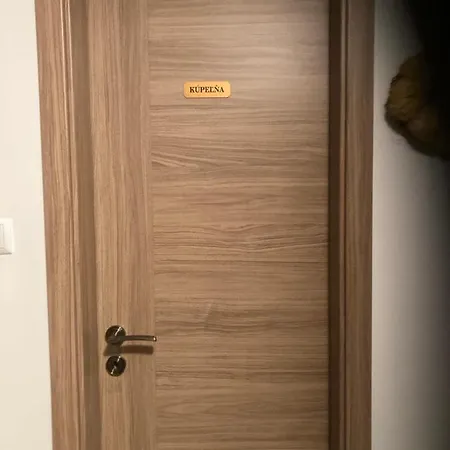 בית כפרי Vodica