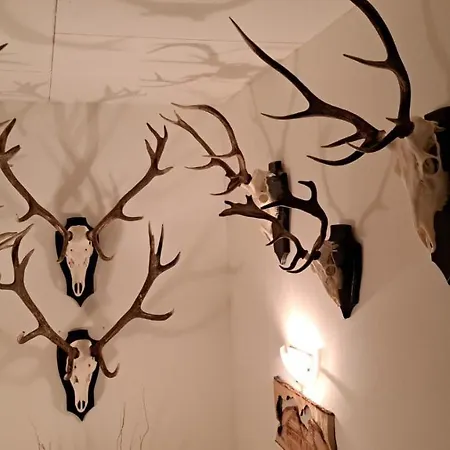 Vodica 컨트리하우스