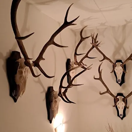 בית כפרי Vodica