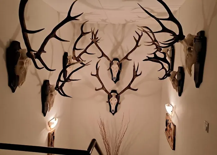 Vodica Hétvégi ház *