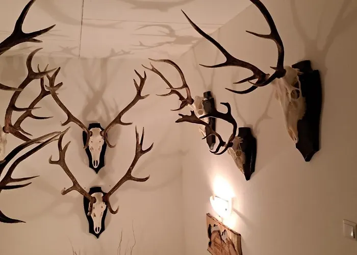 Vodica Hétvégi ház